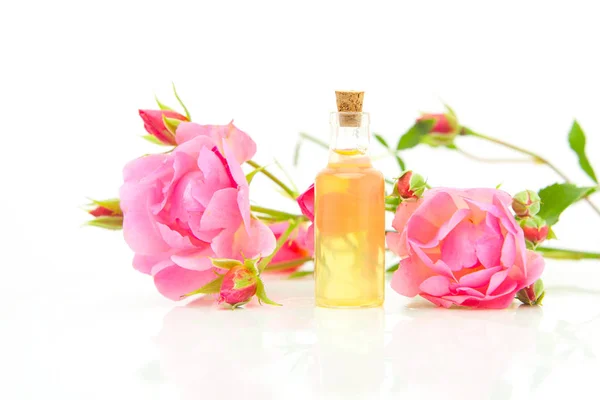 Essência de rosa no fundo branco em bela garrafa de vidro — Fotografia de Stock