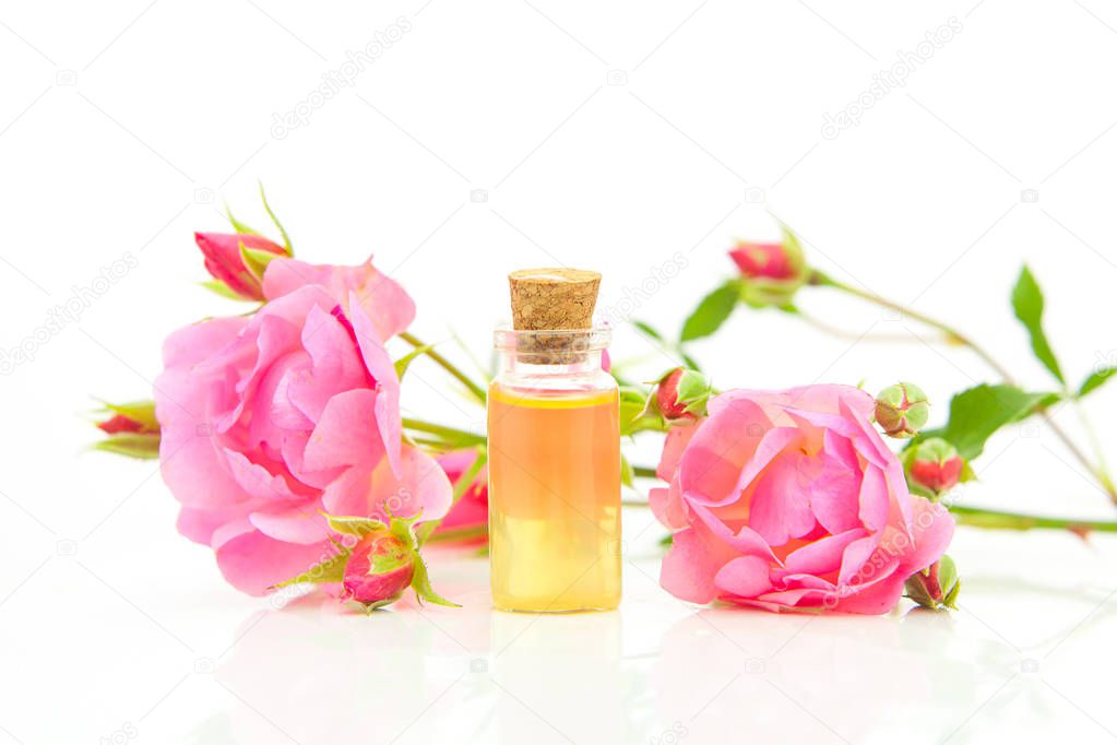 Essence of rose on white background in beautiful glass bottle