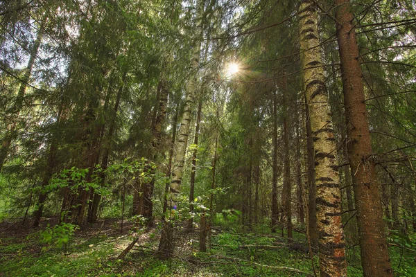 sonbahar güzel panoramik kırsal manzara