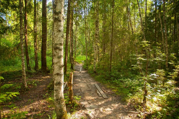 sonbahar güzel panoramik kırsal manzara