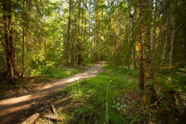 sonbahar güzel panoramik kırsal manzara