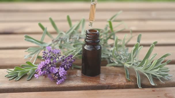 Lavender Essential Oil Beautiful Bottle Table — Stock Video