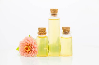 Beyaz arka plan üzerinde güzel şişe de Zinnia uçucu yağ