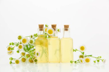 Çiçeklerin özü güzel bir cam şişede masanın üzerinde.