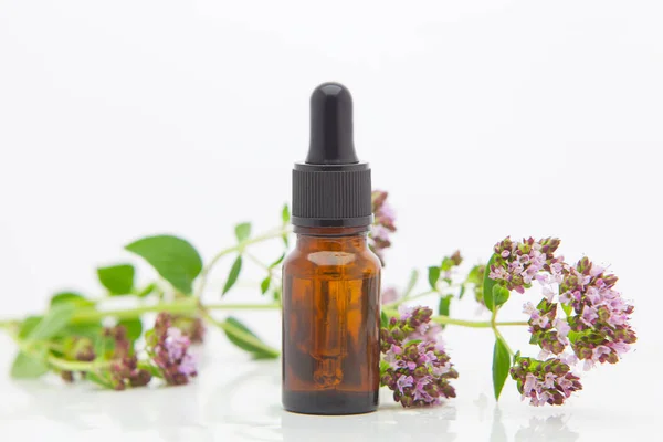 Essence of Oregano flowers on table in beautiful glass Bottle — Stock Photo, Image