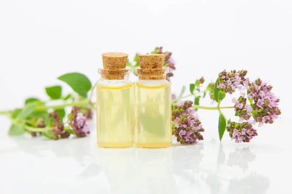 Esencia de flores de orégano en la mesa en hermosa botella de vidrio — Foto de Stock