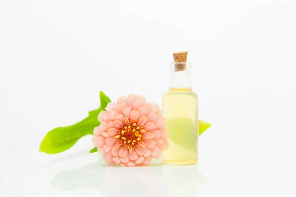 Aceite esencial de Zinnia en una hermosa botella sobre fondo blanco — Foto de Stock