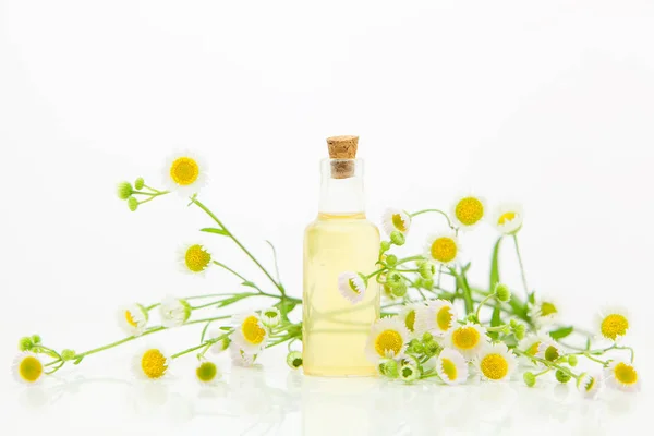 Esencia de flores en la mesa en vidrio hermoso Botella — Foto de Stock