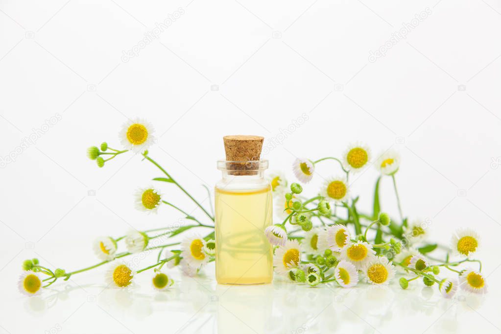 Essence of flowers on table in beautiful glass bottle