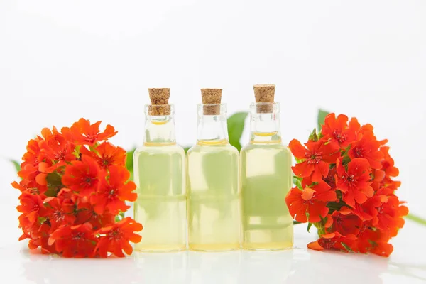 Catchfly aceite esencial en hermosa botella sobre fondo blanco — Foto de Stock
