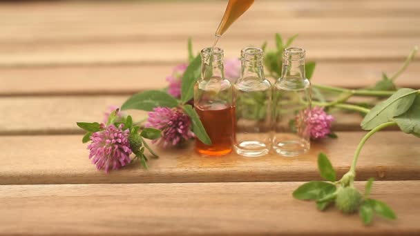 Essenz Der Blumen Auf Dem Tisch Schönen Glas — Stockvideo