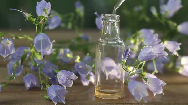 Essence Flowers Table Beautiful Glass Jar — Stock Video