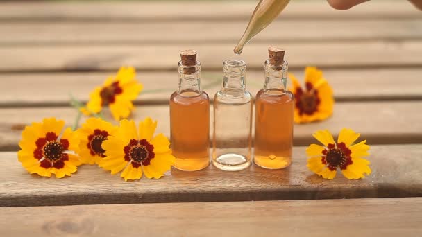 Coreopsis Olio Essenziale Bella Bottiglia Sul Tavolo — Video Stock