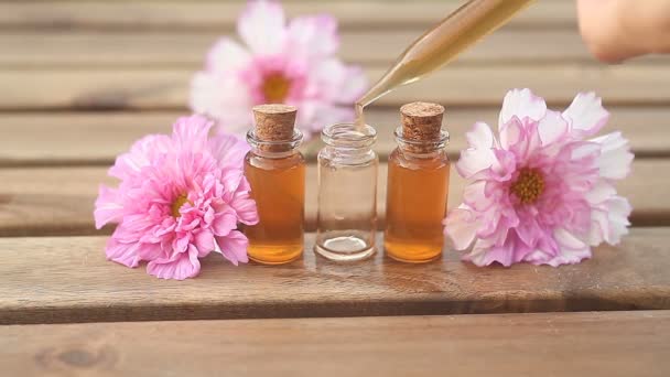 Essence Flowers Table Beautiful Glass Bottle — Stock Video