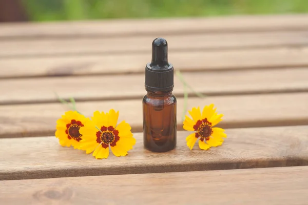 Coreopsis óleo essencial em bela garrafa na mesa — Fotografia de Stock