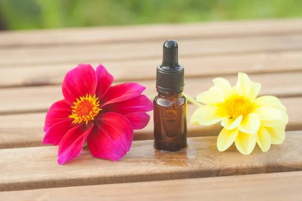 Aceite esencial de dalia en hermosa botella en la mesa — Foto de Stock