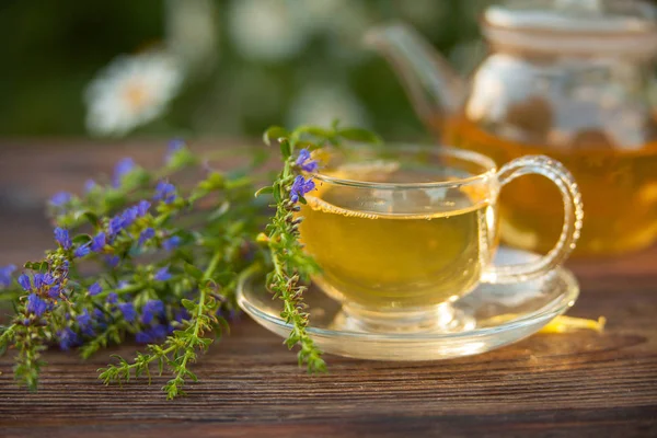 Pyszna herbata zielona w pięknym klosz na stole — Zdjęcie stockowe