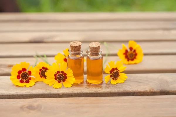 Aceite esencial de coreopsis en una hermosa botella en la mesa — Foto de Stock