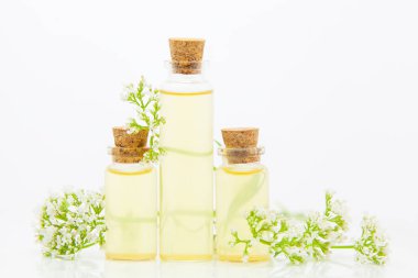 Güzel Cam masaya çiçek özü