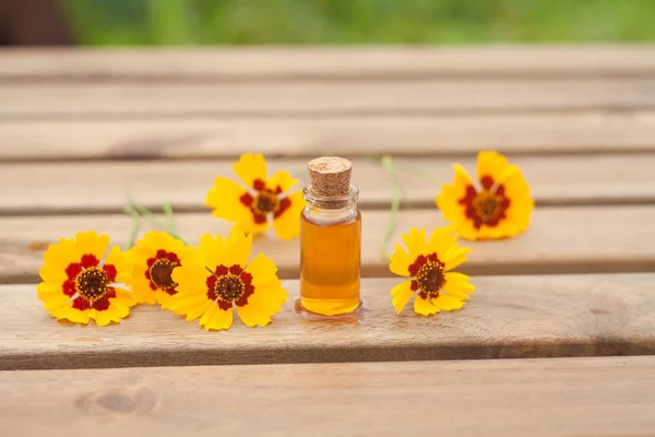 Aceite esencial de coreopsis en una hermosa botella en la mesa —  Fotos de Stock