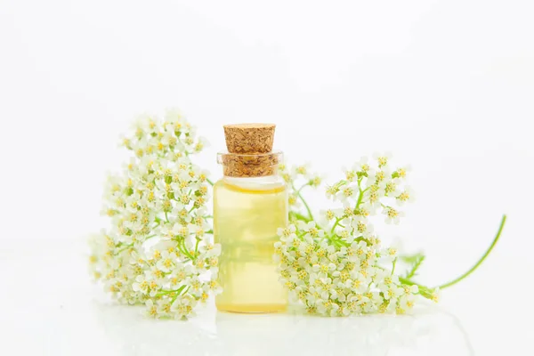 Esencia de flores en la mesa en un hermoso frasco de vidrio — Foto de Stock