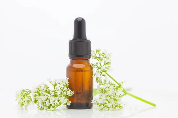 Esencia de flores en la mesa en un hermoso frasco de vidrio — Foto de Stock