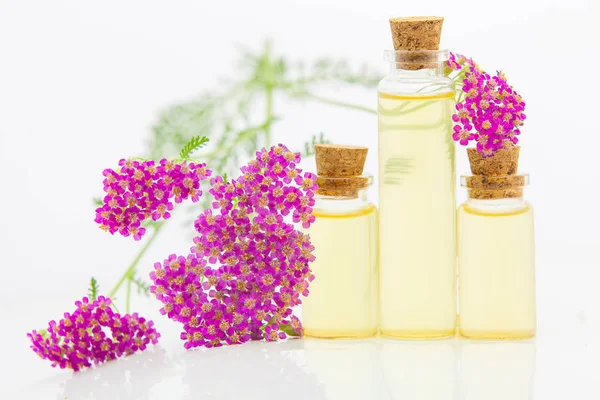 Esencia de flores en la mesa en un hermoso frasco de vidrio — Foto de Stock