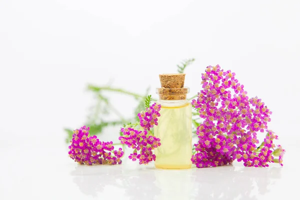 Esencia de flores en la mesa en un hermoso frasco de vidrio — Foto de Stock