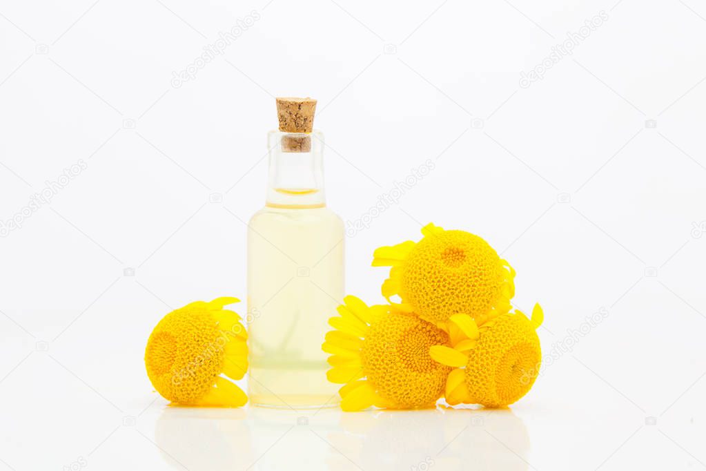 Solstzia