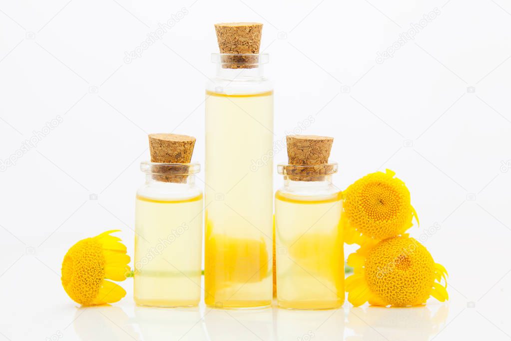 Solstzia