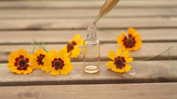 Coreopsis Etherische Olie Mooie Fles Tafel — Stockvideo