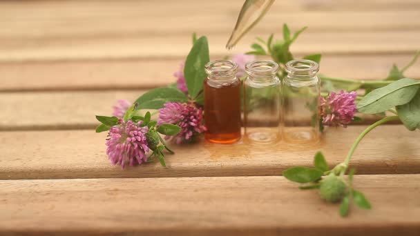 Esencia Flores Mesa Hermoso Frasco Vidrio — Vídeos de Stock