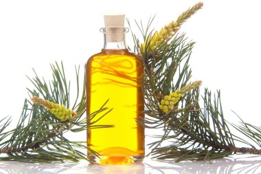 Cam bir kavanozun içindeki bir masada çam esansı.