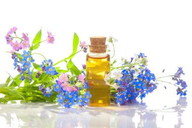 Çiçeklerin özü beyaz bir arka planda güzel bir cam kavanozda