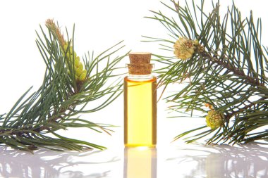 Cam bir kavanozun içindeki bir masada çam esansı.