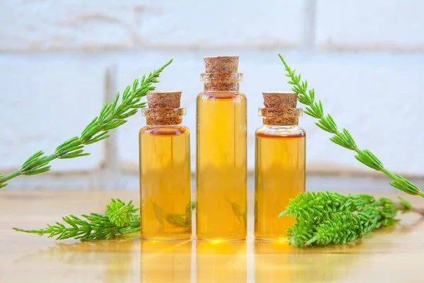 Aceite Esencial Horsetai Una Hermosa Botella Sobre Mesa — Foto de Stock