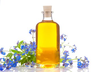 Çiçeklerin özü beyaz bir arka planda güzel bir cam kavanozda