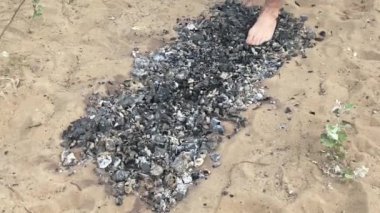 İnsan kızgın kömürlerin üzerinde yalınayak yürür.
