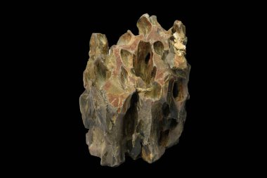 Eşsiz şekilli ejderha taşı. Birden fazla deliği ve yarığı var. Kesme yolu olan siyah bir arka planda izole.