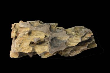 Siyah arka planda izole edilmiş ince kırmızı ve kahverengi gölgeli düz ve desenli ejderha taşı. İçerilen kırpma yolu