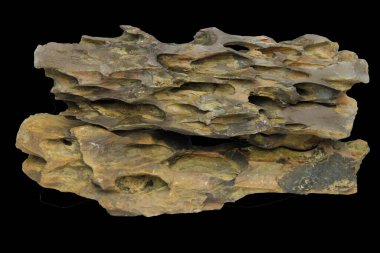 Geniş, düz şekilli ve siyah arka planda izole edilmiş gözenekli bir ejderha taşı. İçerilen kırpma yolu