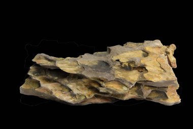 Ejderha Taşı 'nı (ohko kayası) yatay yönelim ve kesme yolu ile siyah bir arkaplanda izole edilmiş zengin kahverengi tonlarla kapat.