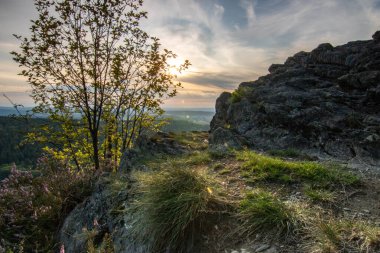 Akşamları bir manzara, ormandaki bir uçurumun üzerinde güzel bir manzara. Uçurumun üzerinden akşam güneşine bak, Hesse, Almanya