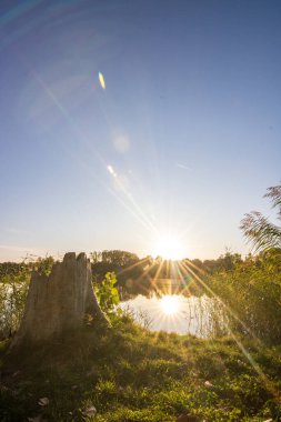 Akşamları Lakeshore, göl kıyısının güzel manzarası. Akşam güneşinde gölün üzerinden bak, Hesse, Almanya
