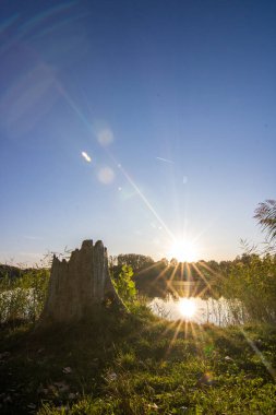 Akşamları Lakeshore, göl kıyısının güzel manzarası. Akşam güneşinde gölün üzerinden bak, Hesse, Almanya