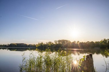 Akşamları Lakeshore, göl kıyısının güzel manzarası. Akşam güneşinde gölün üzerinden bak, Hesse, Almanya