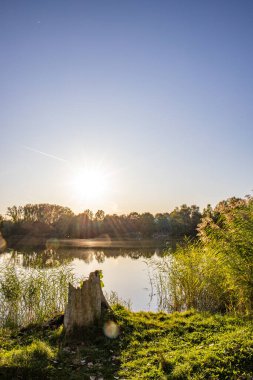 Akşamları Lakeshore, göl kıyısının güzel manzarası. Akşam güneşinde gölün üzerinden bak, Hesse, Almanya