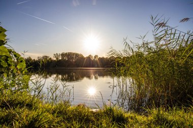 Akşamları Lakeshore, göl kıyısının güzel manzarası. Akşam güneşinde gölün üzerinden bak, Hesse, Almanya