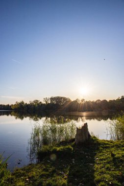 Akşamları Lakeshore, göl kıyısının güzel manzarası. Akşam güneşinde gölün üzerinden bak, Hesse, Almanya