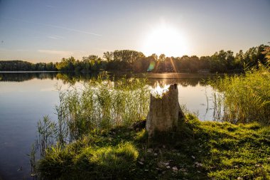 Akşamları Lakeshore, göl kıyısının güzel manzarası. Akşam güneşinde gölün üzerinden bak, Hesse, Almanya
